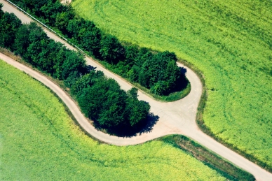 Wegegabel in Rheinhessen